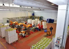 Questo e' uno dei due stabilimenti di lavorazione di Orchidea Frutta. recentemente, infatti, l'azienda ha affittato un nuovo capannone destinato esclusivamente al confezionamento dell'uva in cestini.