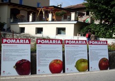 "Il tour organizzato per i giornalisti da Melinda, si e' concluso domenica 10 ottobre 2010, con una passeggiata nell’antico borgo di Casez, tra le bancarelle di Pomaria, la sagra che riunisce cultura, gastronomia e tradizione delle Valli di Non, di Sole e del Trentino. Ovviamente anche una vera e propria "festa della mela" con degustazioni, mostre pomologiche e produzioni tipiche, dal succo di mela allo strudel!"