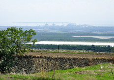 Dalle terrazze della masseria, il panorama si estende a perdita d'occhio. Le aree bianche sono i vigneti, sempre di proprieta' della KIkau, per la coltivazione di uva da tavola sotto coperture di teli plastici.