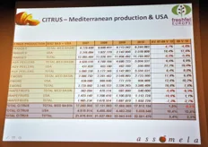 ... e la produzione mediterranea e statunitense di agrumi, prevista in leggero aumento nel 2010 (+2,3%) rispetto al 2009.