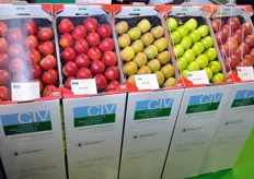 In occasione di Interpoma 2010, il CIV ha presentato 5 nuove promettenti varieta' di mela.