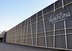 Valentina e' il brand del Consorzio, apposto esclusivamente su mele di prima qualita' e prima categoria.