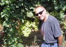 Carlo Lingua, vicepresidente di A.V.I., in visita ai vigneti di uve ARRA in California.