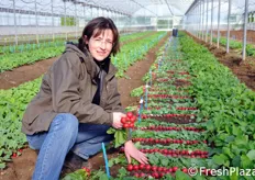 La senior plant breeder tedesca Andrea Schieder, specialista nel ravanello, presso la sede di Traquinia di Enza Zaden.