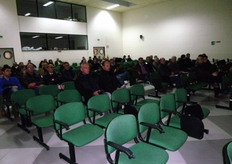 "La sala "G. Michetti" della Azienda "Pantanello"."