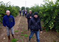 "In occasione della giornata sugli agrumi di "Pantanello", il Consorzio Vivaisti Lucani (COVIL - Scanzano Jonico-MT) ha organizzato, in tarda mattinata, una visita guidata presso alcuni campi commerciali dell’ibrido triploide "Mandalate"."