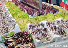 Composizione di radicchi presso lo stand de La Rosa.