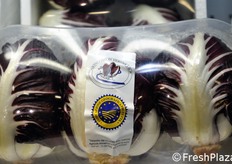 Geofur commercializza il Radicchio di Verona IGP.