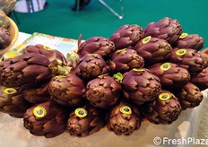 Carciofi tipici della Sardegna.