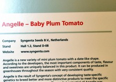 "Syngenta Seeds (Olanda): "Angelle", un piccolo pomodoro tipo datterino."