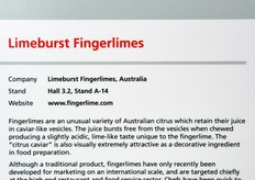 Limeburst Fingerlimes (Australia): agrumi australiani il cui contenuto assomiglia a un caviale.