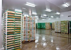 La cooperativa agricola Agrieuropa, con sede a Terracina (LT) ha deciso di affrontare la stagione 2011 forte di notevoli investimenti in innovazione.