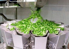 Fase di pesatura automatica.