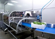 Completa l'infrastruttura una macchina per confezionamento in polistirolo, per formati da 500 grammi e 1 kg.