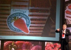 La fragola Candonga, uno degli esempi di successo nel panorama della fragolicoltura italiana. In alcuni casi, anche non presentando il nome della varieta', comunque, l'imballaggio parla di un ambiente, di un territorio di provenienza, in grado di rendere ben distinguibile il prodotto