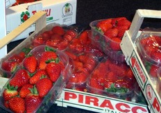 Esposizione di rosse delizie.