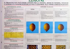 Le norme di qualita' alle quali sono assoggettati i limoni posti in vendita.