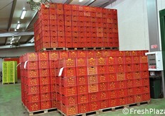 Le casse giungono direttamente dai campi dei soci conferitori.