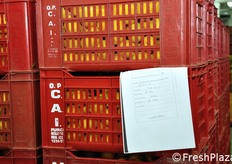 Si prende nota dei dati del conferitore all'ingresso della merce presso lo stabilimento, ai fini della tracciabilita' del prodotto.