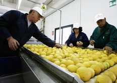 Ci vuole occhio attento ed esperienza per questa prima fase di selezione.