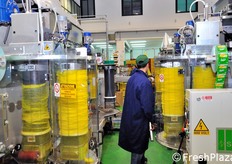 I cilindri di colore giallo sono le bobine di rete.