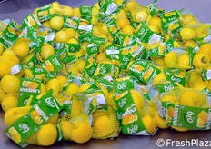 Tutto il prodotto e' biologico ed e' estremamente richiesto nei paesi europei, specialmente in Germania. C.A.I. esporta il prodotto anche in Gran Bretagna, Danimarca e, in misura minore, Francia.