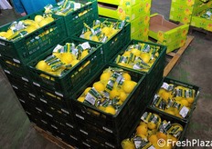 Cassette in fase di impilamento.