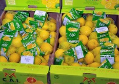 Retine in cartoni a marchio C.A.I.