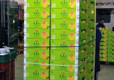 Pallet pronto per il carico.