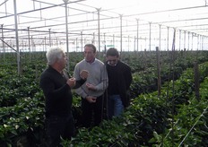 Lo scopo è stato quello di discutere i diversi aspetti della difesa integrata delle colture (tema oggi di attualissima rilevanza) creando un meeting direttamente in campo e mettendo a confronto produttori ortofrutticoli di diversi areali, con il coinvolgimento degli enti istituzionali.