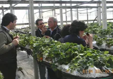 Visita alle produzioni di fragole presso la Az. Agr. Cicardo.