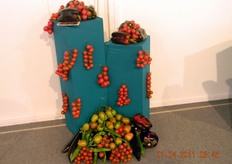 Esposizione di ortaggi presso la fiera AGREM.