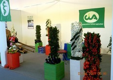 Stand della CIA presso AGREM.