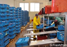 Trasferimento su bancali del prodotto pronto alla consegna.