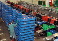 Vista dall'alto dei banchi di lavorazione.