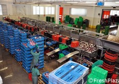 Vista d'insieme dello stabilimento.