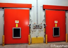 Lo stabilimento è dotato di celle frigorifere per una capacità complessiva di 3.000 tonnellate.