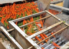 Ulteriore fase di lavaggio del prodotto.