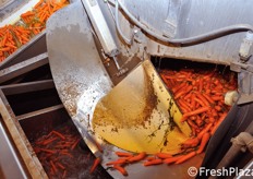 Ulteriore vasca di lavaggio delle carote e nastro trasportatore verso le fasi successive di lavorazione.