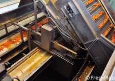 Al centro dell'immagine e' possibile scorgere una griglia che serve ad eliminare dal ciclo le carote che, non essendo integre, precipitano tra i fori della griglia stessa.