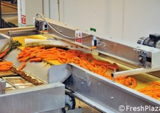 Tramite questi nastri trasportatori, il prodotto lavato viene smistato su diversi banconi di selezione manuale da parte del personale.