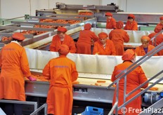 I banchi possono anche essere suddivisi per distinguere la lavorazione di prodotto biologico da quello standard.