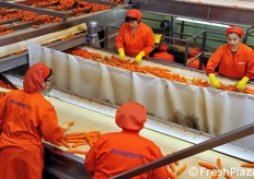 Dettaglio delle operazioni di cernita.