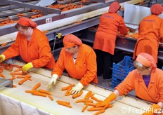 Dettaglio delle operazioni di cernita.