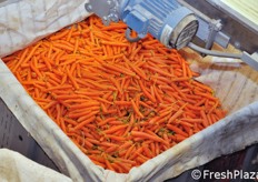 Fase di riempimento di un jumbo bag da 1.000 kg di prodotto commercializzabile.