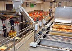 Vista d'insieme della sala di lavorazione delle carote.