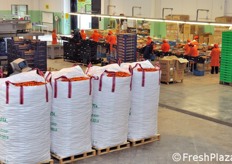 Jumbo bag pronti per lo stoccaggio in cella frigorifera.