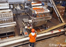 Oltre al confezionamento in jumbo bag, infatti, lo stabilimento Pevianifrutta di Ispica e' dotato anche di una linea di confezionamento a diverse uscite, per la realizzazione di carote in sacchetto.