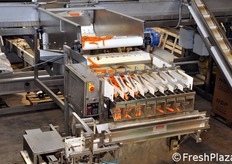 Dettaglio della pesatrice multitesta, impostata per insacchettare un determinato peso in carote nelle buste.