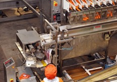 Il prodotto in sacchetti e' prevalentemente destinato al mercato estero. La capacita' produttiva di ogni linea di pesatura/confezionamento e' di 25 sacchetti al minuto.